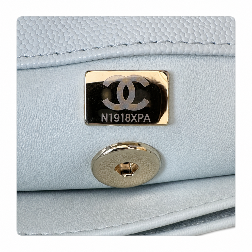 Chanel Classic CC Quilted Flap Bag | Gold Hardware & Chain — 24cm